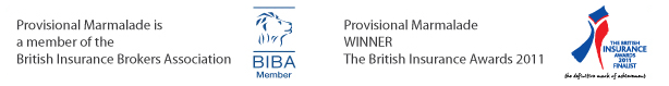 WINNER - British Insurance Awards 2011